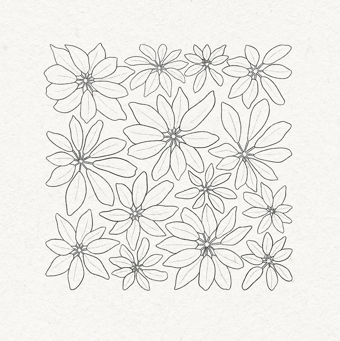 B&W fine line drawing of umbrella trees arranged in a square shape