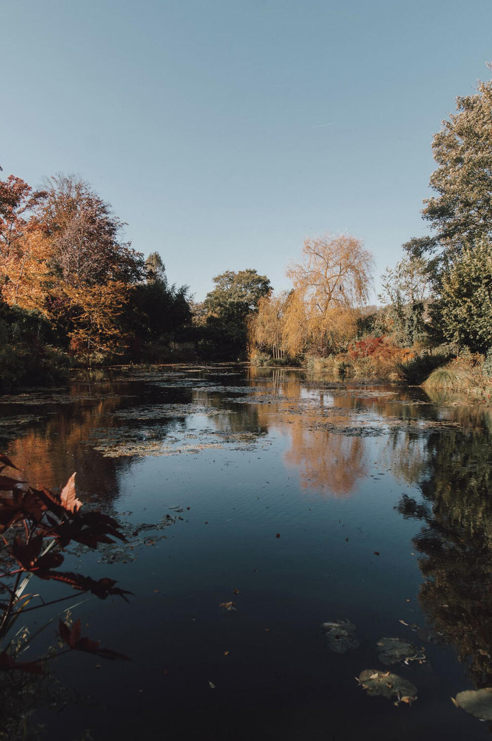 View on Monet's garden with fall colors
